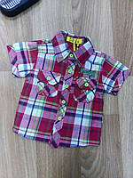 Сорочка на хлопчика, S&D, 92,104 см № SG-14-1