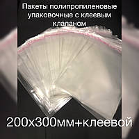 Пакет 200х300мм+клейовий, пакувальний поліпропіленовий, щільністю 25мкм, 100шт/уп