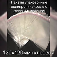 Пакет 120х120мм+клейовий, пакувальний поліпропіленовий, щільністю 25мкм, 100шт/уп