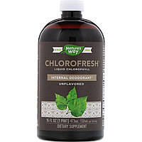 Хлорофилл Natures Way, Chlorofresh, жидкий хлорофилл, неароматизированный, 473.2 мл.