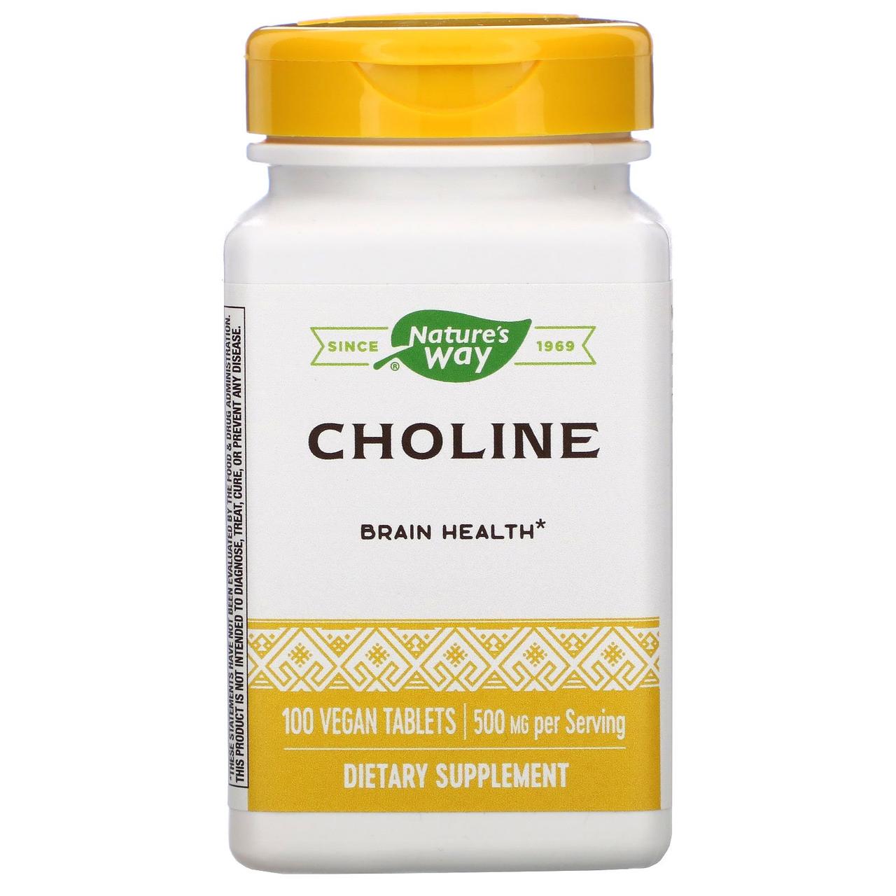 Холін 500 мг Choline Natures Way, 100 таблеток
