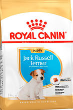 Корм Royal Canin (Роял Канін) JACK RUSSEL TERRIER JUNIOR для цуценят породи ДЖЕК-РАССЕЛ-ТЕР'ЄР, 1,5 кг