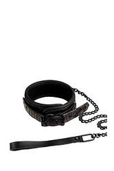 Нашийник з повідцем BLAZE COLLAR AND LEASH PURPLE