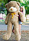 Плюшевий ведмедик Рафаель 200 см Мокко, фото 3