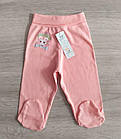 Штанці на манжеті новонароджені Блакитні Рожеві Польща, фото 3