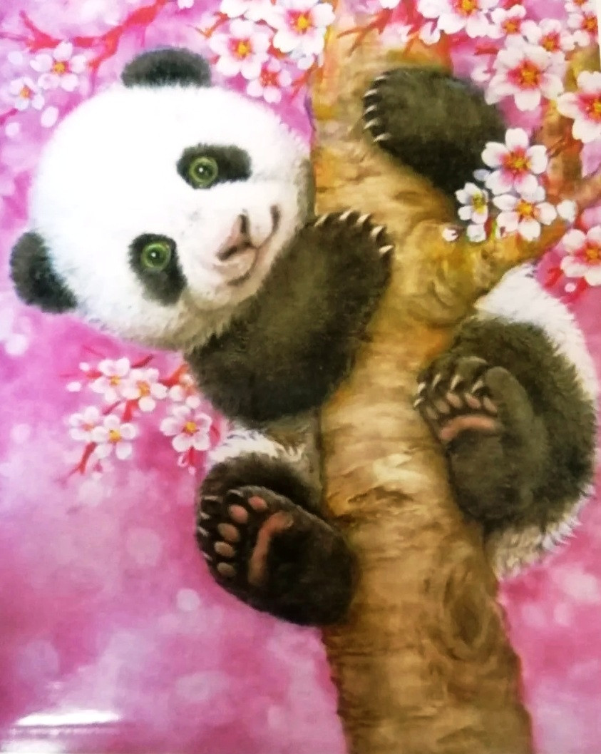 Картина за номерами Пандочка