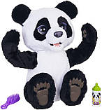 Інтерактивна іграшка FurReal Friends Plum Ведмежа панда The Curious Bear Panda Cub E8593 оригінал, фото 3