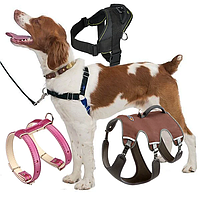 Амуніція і рулетки для собак