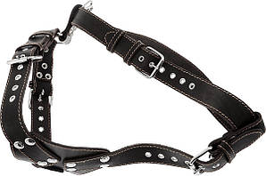 Шлея для собаки "Lockdog" класична чорного кольору
