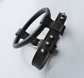 Шлейка для небольших пород собак "Lockdog" черная с бусинами