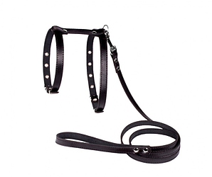 Шлейка та поводок для невеликих порід собак "Lockdog"