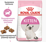 Royal Canin Kitten 2кг Корм для кошенят до 12 місяців, фото 3