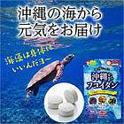 Japan Gals Фукоїдан, 90 таблеток на 30 днів прийому. До 07/2027, фото 2