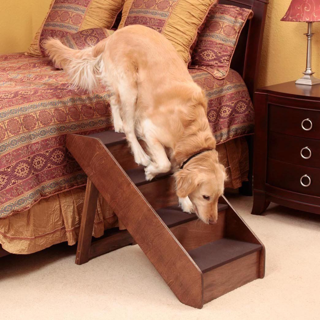 Сходи для собак "Біндура" мокко