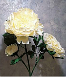 Фоаміран 2 мм Диня рулонний, фото 3