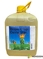 Фунгіцид Осіріс Стар BASF - 10 л, фото 3