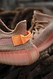 Кросівки жіночі Adidas Yeezy V2 Clay (адіас і буст клей), фото 3