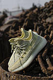 Кросівки чоловічі Adidas Yeezy V2 Antlia (адис ізі буст антліа) 41 розмір, фото 5