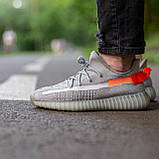 Кросівки чоловічі Adidas Yeezy 350 Tail Light (адіас і буст-теїл лайт), фото 4