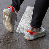 Кросівки чоловічі Adidas Yeezy 350 Tail Light (адіас і буст-теїл лайт), фото 8