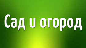 Сад і город