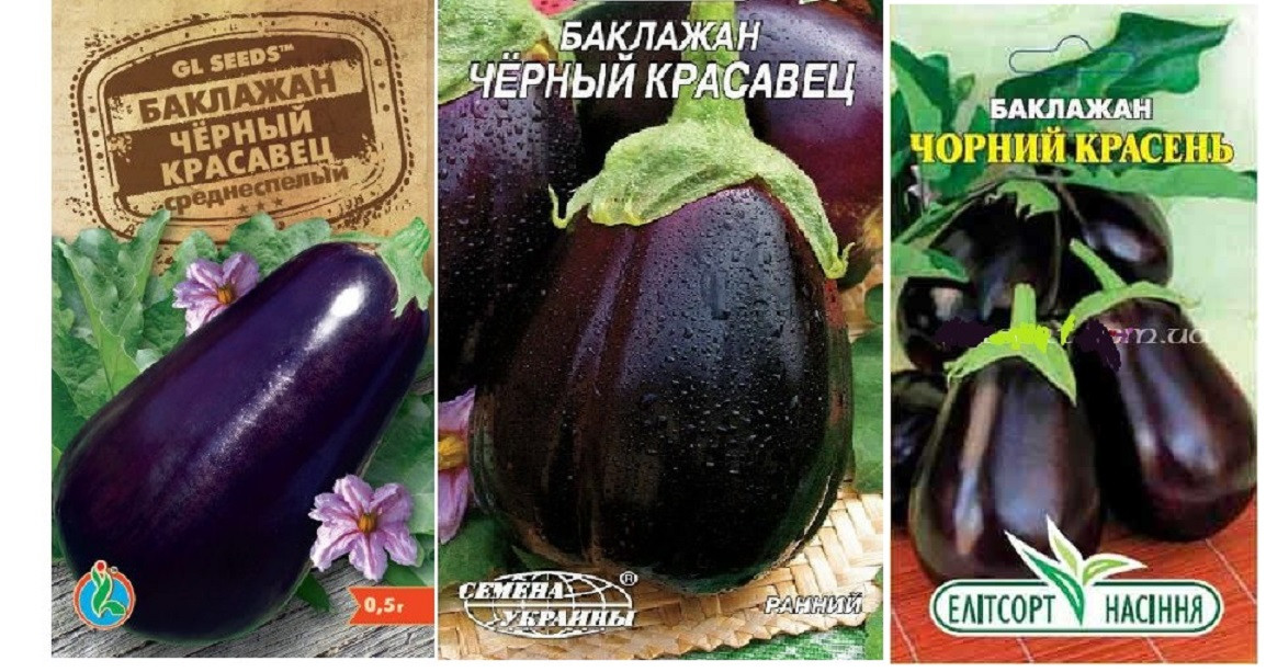Семена Баклажана Чёрный красавец