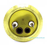 ТЕН для бойлера ТЕРМЕКС на латунному фланці D63 1,3кВт, Premium, фото 2