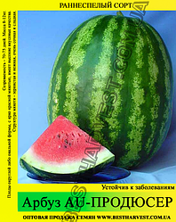 Насіння кавуна АУ-Продюсер 0,5 кг