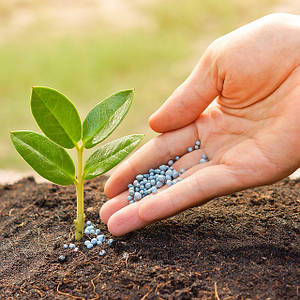 Комплексні добрива