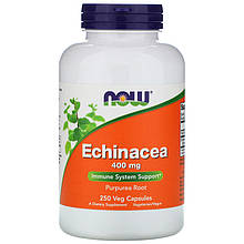 Ехінацея NOW Foods "Echinacea" підтримка імунної системи, 400 мг (250 капсул)