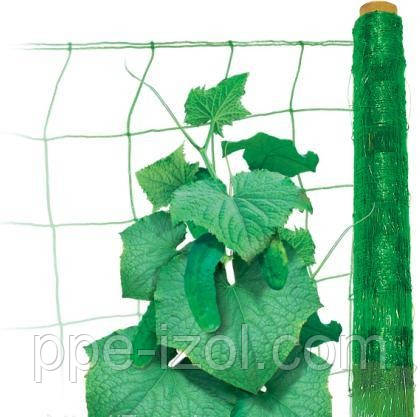 Огіркова сітка (шпалера) 1,70 м х500 м (Угорщина)