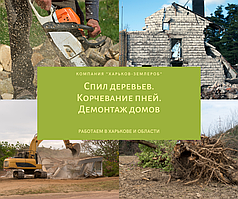 Корчування пнів, спилювання дерев, демонтаж