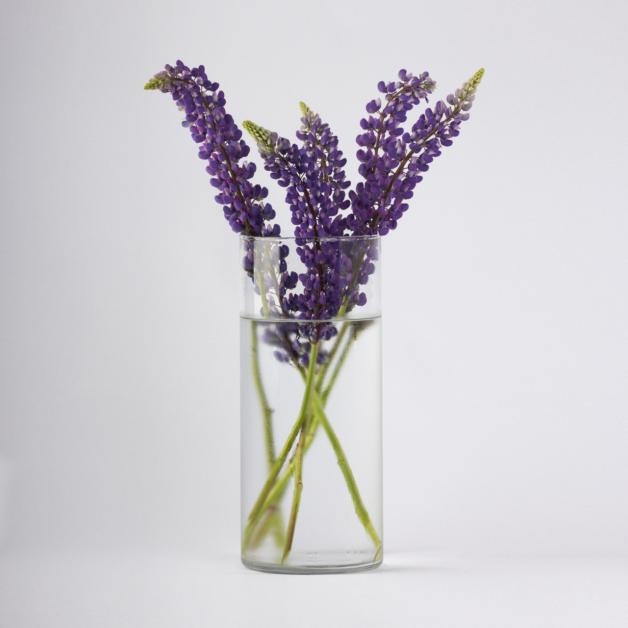 Ваза прозора "Циліндр" h 200 d 100, фото 1