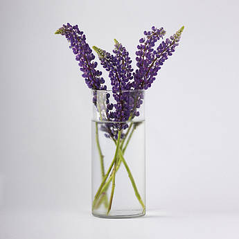 Ваза прозора "Циліндр" h 200 d 100