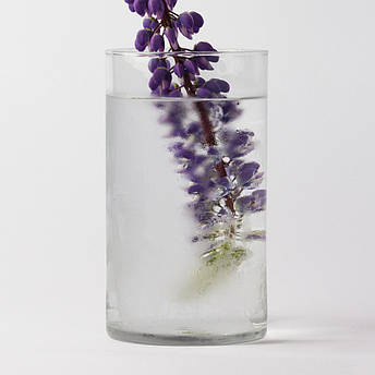 Ваза скляна "Циліндр" h 300 d 160 об'єм 5л.