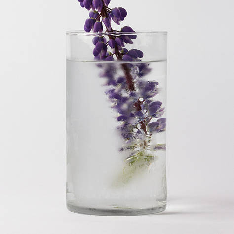 Ваза скляна "Циліндр" h 300 d 160 об'єм 5л.