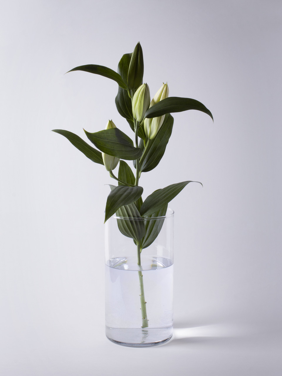 Колба, підсвічник, ваза прозора "Циліндр" h 380 d 160 об'єм 7л., фото 1