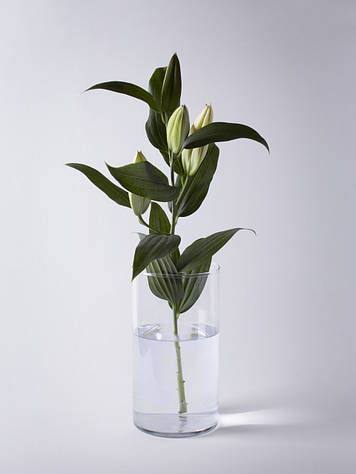 Колба, підсвічник, ваза прозора "Циліндр" h 380 d 160 об'єм 7л.