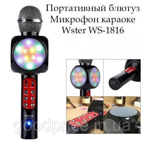 Мікрофон Bluetooth Karaoke DM 1816