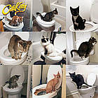 Набір для привчення котів до туалету CitiKitty Cat, туалет для котів, котячий туалет, фото 2