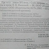 Бібліотека російської критики, фото 7