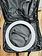 Кільцева світлодіодна лампа RING LIGHT ZB-R14 + сумка+штатив, діаметр 35 см,Професійна зйомка, фото 3