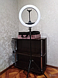 Кільцева світлодіодна лампа RING LIGHT ZB-R14 + сумка+штатив, діаметр 35 см,Професійна зйомка, фото 5