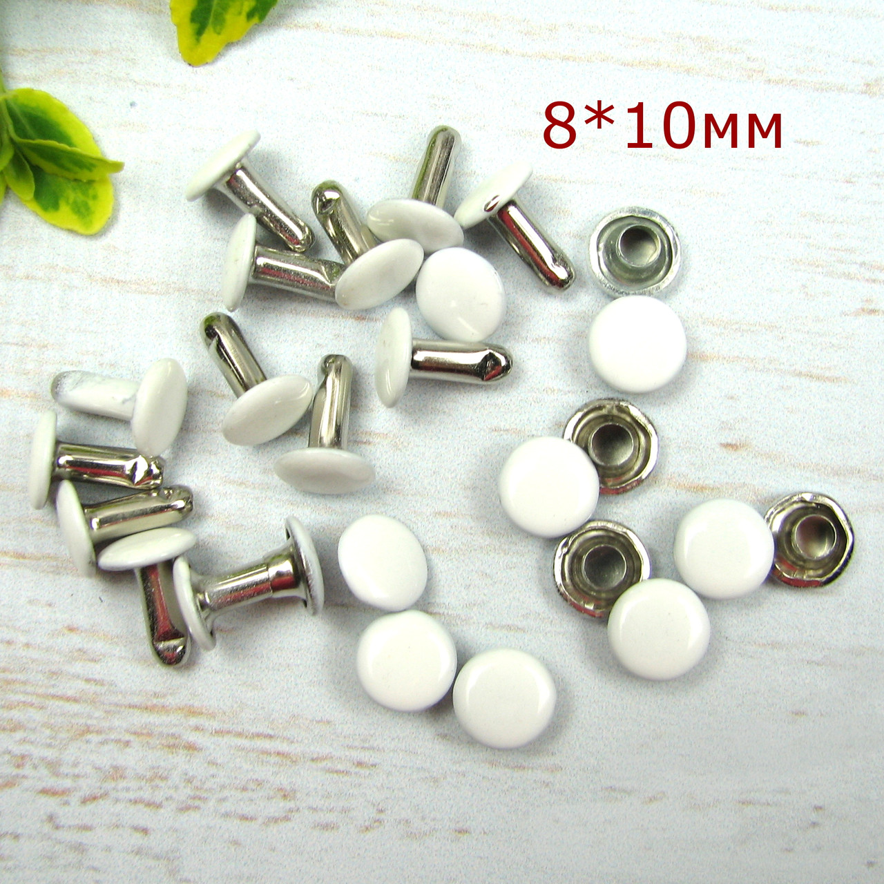 Хольнітени двосторонні для шкіри Білі Заклепки 8*10мм 10шт (WHL004), фото 1