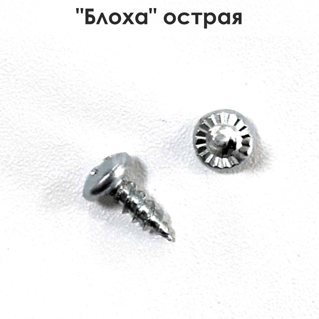 "Блоха" гостра