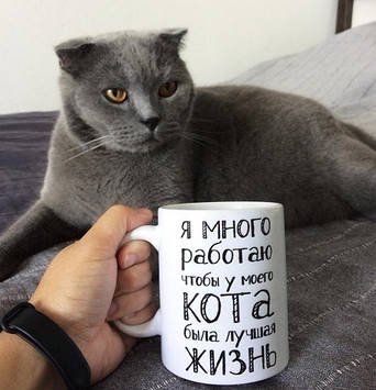 Юморна чашка Я багато працювала, щоб у свого кота було найкраще життя