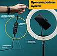 Кільцева LED лампа RING FILL LIGHT LC-330 діаметр 33см, живлення usb, Кільцева селфи лампа, фото 6