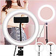 Кільцева LED лампа RING FILL LIGHT LC-330 діаметр 33см, живлення usb, Кільцева селфи лампа, фото 4