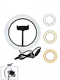 Кільцева LED лампа RING FILL LIGHT LC-330 діаметр 33см, живлення usb, Кільцева селфи лампа, фото 9