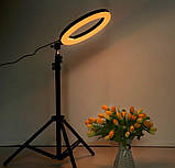 Професійна кільцева світлодіодна LED лампа SL300 (30 см).Селфи кільце,кільцевої світло для відео, фото, фото 8